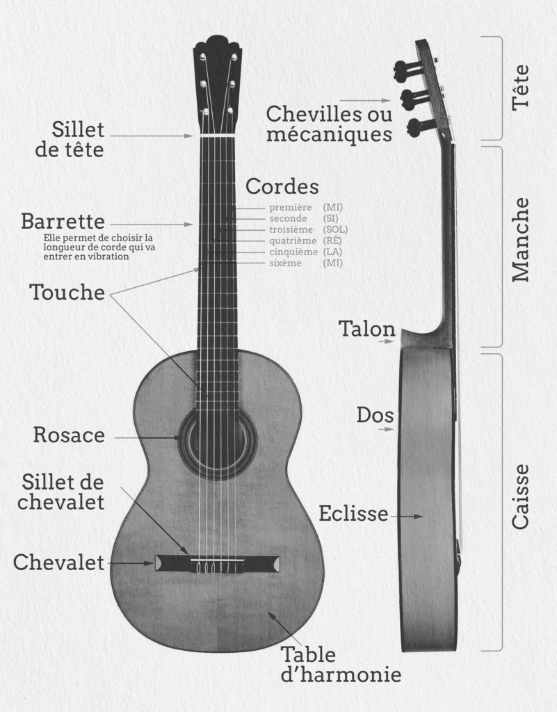 Anatomie de la guitare